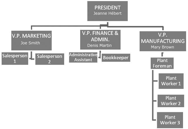Example organizational chart. Description follows.