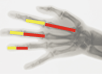 Hand and Phi segments